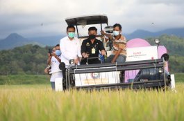 Gercep Jaga Harga, Kementan Imbau Pemda Beli Beras Petani untuk Dijual ke ASN