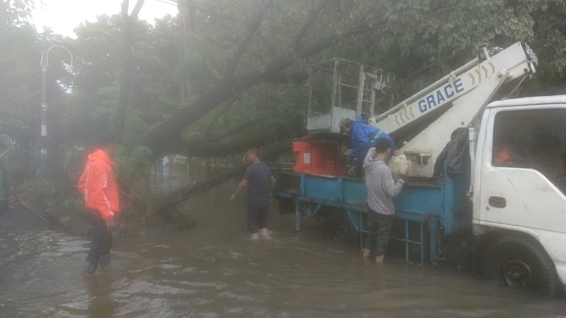 Salah satu titik pohon tumbang di Kota Makassar, Jumat (2/4/2021). 