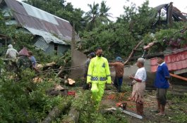 Pohon Tumbang Timpa Dua Rumah di Jeneponto