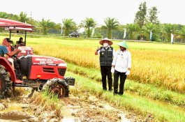 Tak Kenal Libur, Mentan SYL Panen dan Gerakan Serap Gabah di Sumsel