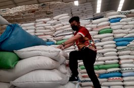 Indonesia Indicator: SYL Menteri dengan Persentase Pemberitaan Positif Tertinggi