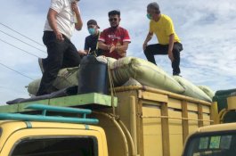 Petani Subang Semringah, Gabah hasil Panen Langsung Dibeli di Lokasi Rp4.400 Per Kilogram