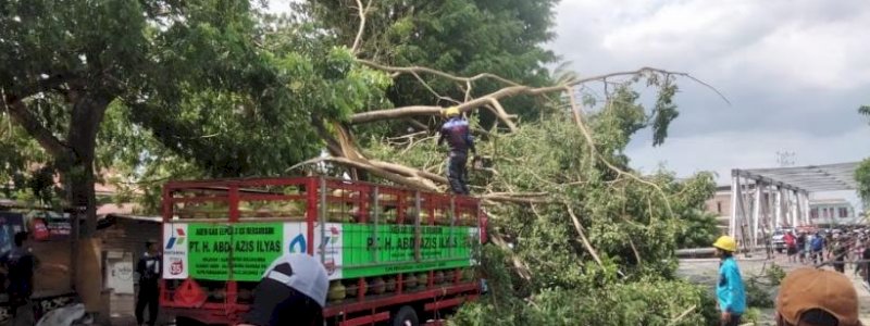 Angin Kencang Terjang Bulukumba, Pohon Tumbang Timpa Mobil Truk