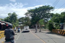Angin Kencang Robohkan Tiang Listrik di Bulukumba, PLN Padamkan Lampu di Tanete
