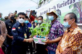 Wagub Sumbar: Sektor Pertanian Tulang Punggung Ekonomi Nasional