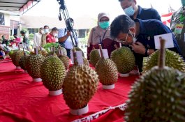 Mentan SYL: Riset dan Inovasi Berkelanjutan, Fondasi Pembangunan Pertanian