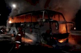 Pengemudi Mabuk Tabrak Bus Bermuatan Alkohol, 24 Orang Tewas Terbakar Hidup-Hidup