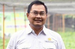 BPS: Harga Gabah dan Beras Turun Karena Panen Raya Sudah Merata