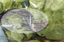 Awalnya Dikira Cacing, Pria Ini Temukan Ular dalam Selada yang Dibeli di Supermarket