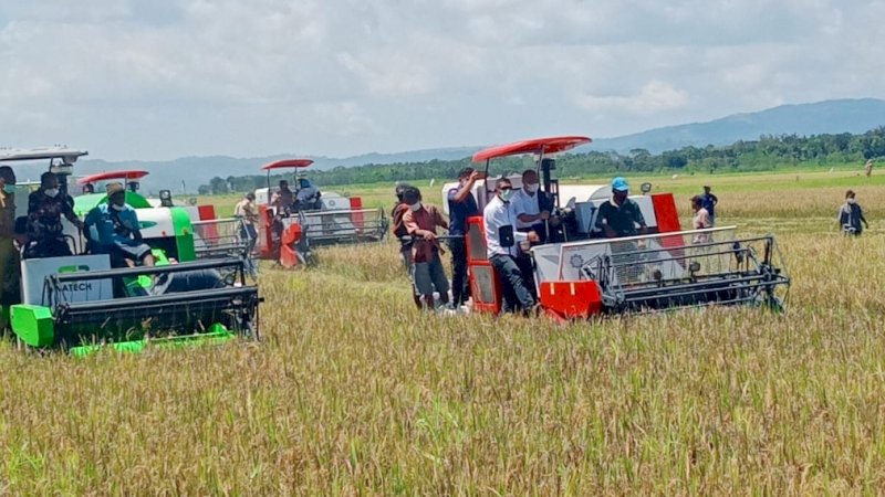 Panen padi di lokasi Program Food Estate di Desa Wailawa, Kecamatan Katikutana Selatan, Kabupaten Sumba Tengah. 