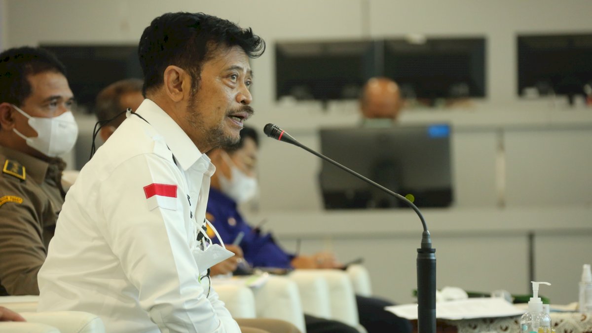 Stabilkan Harga Gabah, Kementan Gelar Rakor Bersama Kepala Dinas Se-Indonesia