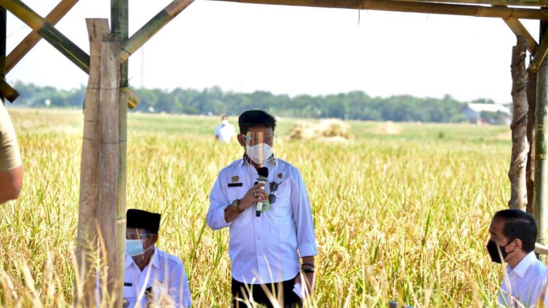 Presiden Jokowi Senang Produktivitas Padi Tinggi dan Harga Gabah Petani Naik
