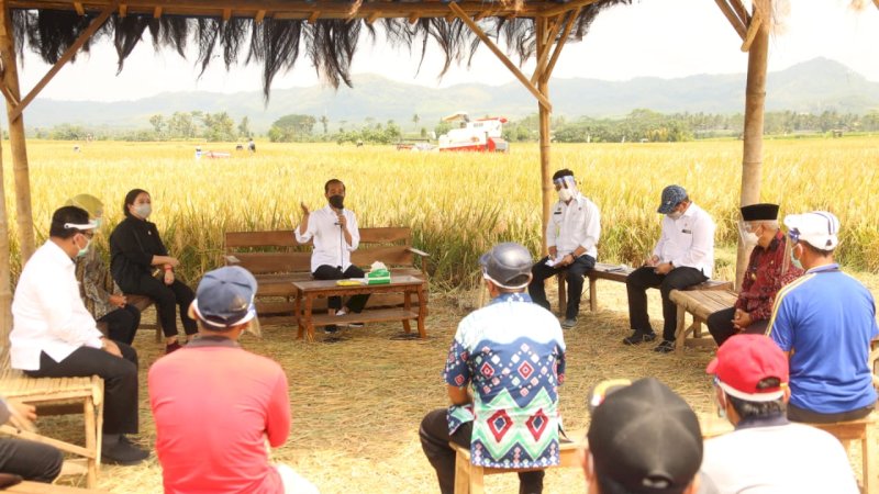 Presiden Jokowi Tinjau Panen Raya Padi di Kabupaten Malang