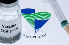 Pemerintah Datangkan 482.400 Dosis, Kepala BPOM: Efek Samping Sinopharm Bengkak, Kemerahan, Sakit Kepala, Diare