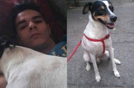 Pria Ini Mutilasi Ibunya Jadi 1.000 Bagian, Lalu Dagingnya Dimakan Bersama Anjingnya