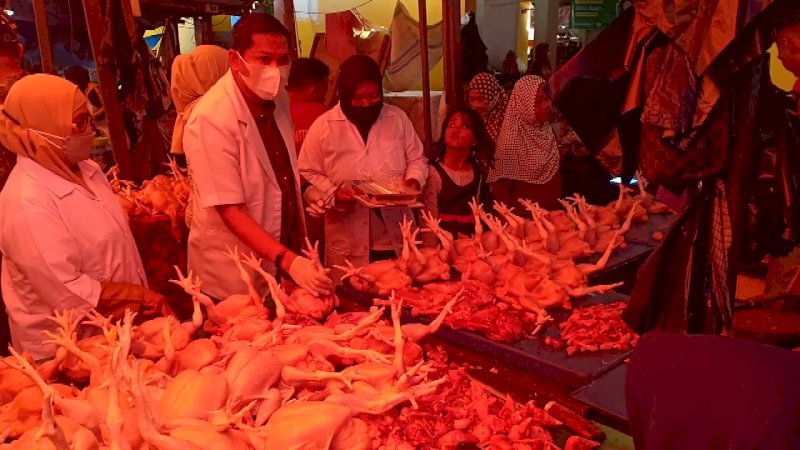 Pemkot Parepare Pastikan Daging dan Ikan di Pasar Aman Dikonsumsi