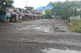 Tetap Beroperasi di Masa Larangan Mudik, Sopir Ini Mau Tes Ketatnya Penjagaan di Perbatasan