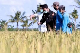 Guru Besar IPB: Kementan Punya Cara Cerdas Tingkatkan NTP NTUP