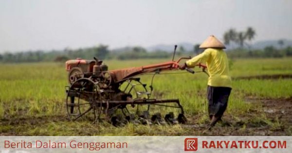 Tingkatkan Produktivitas Pertanian, Kementan Bakal Gelar Pelatihan Bagi ...