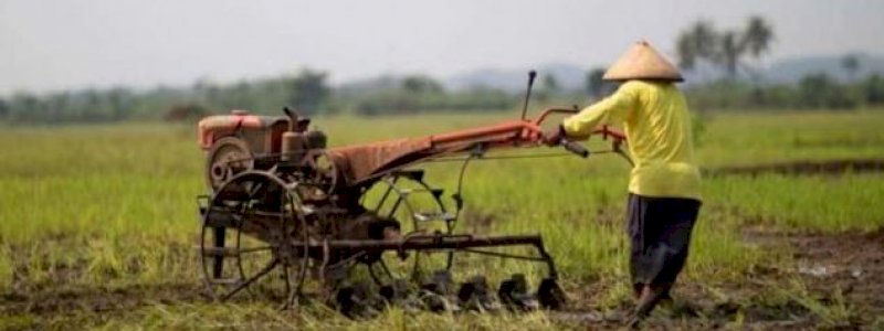 Indikator Kesejahteraan Petani Lampaui Target