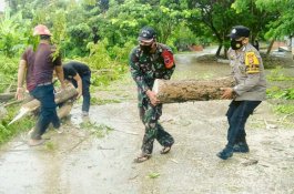Bhabinkamtibmas dan Babinsa Bantu Warga Singkirkan Pohon Tumbang di Jalan Poros Atakkae