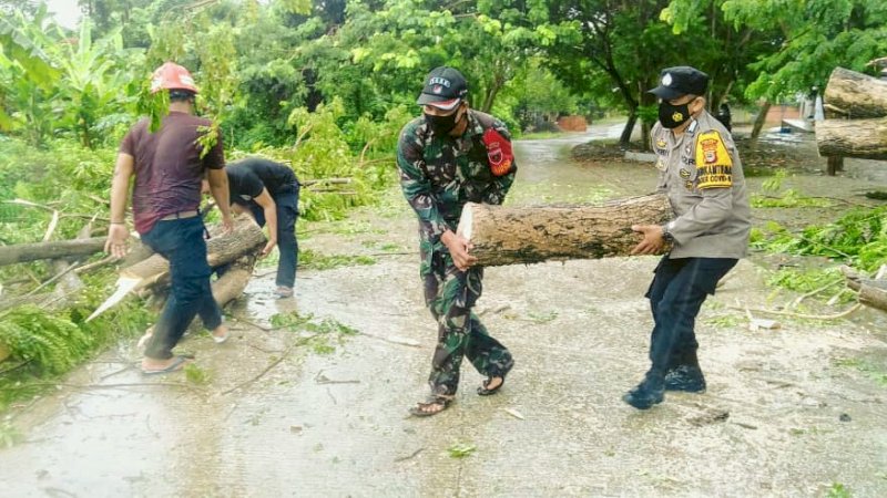 Bhabinkamtibmas dan Babinsa Bantu Warga Singkirkan Pohon Tumbang di Jalan Poros Atakkae