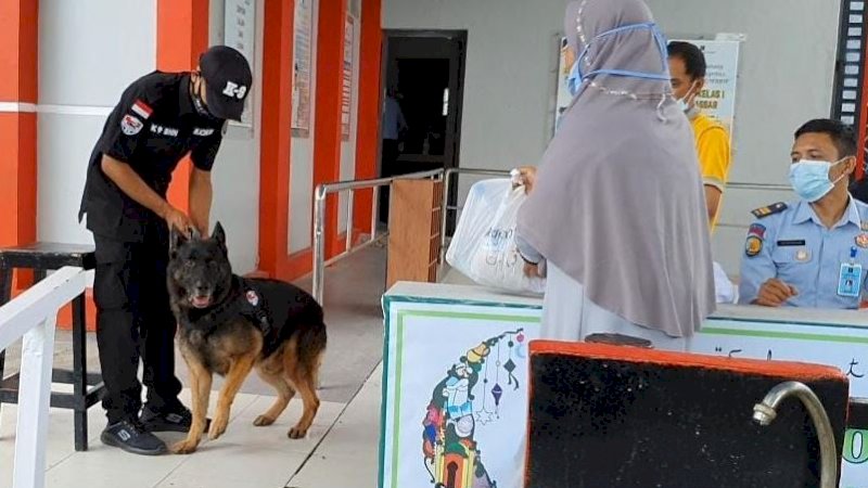 Anjing pelacak dari Unit K-9 Badan Narkotika Nasional Provinsi (BNNP) Sulsel disiapkan Rutan Klas 1A Makassar untuk mencegah terjadinya penyelundupan narkoba. (Foto: Gilang Ramadhan/Rakyatku)