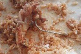 Kail Pancing Ditemukan dalam Makanan, Tenggorokan Pelanggan Nyaris Robek