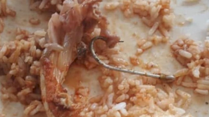 Kail Pancing Ditemukan dalam Makanan, Tenggorokan Pelanggan Nyaris Robek