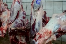 Kementan Pastikan Stok Komoditas Hewani Aman Pasca Lebaran