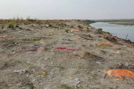 Ngeri, Ribuan Mayat Bermunculan di Tepi Sungai Gangga Setelah Hujan Lebat