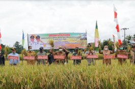 Bupati Bulukumba Bersyukur Hasil Panen Padi Melimpah di Bontoraja
