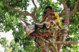 Pandemi COVID-19 di India, Pria Ini Isolasi Diri di Atas Pohon Selama 11 Hari
