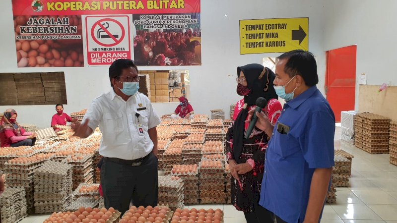 Kementan Subsidi Distribusi untuk Stabilkan Pasokan dan Harga Jagung