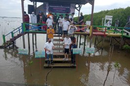 Kembangkan Ekowisata, Danny Pomanto Akan Buat Sekolah Alam di Lantebung