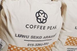 Kopi Seko Luwu Utara Mulai Rambah Pasar Eropa
