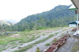 Alasan Perusahaan Tambang Emas Masmindo Belum Berproduksi