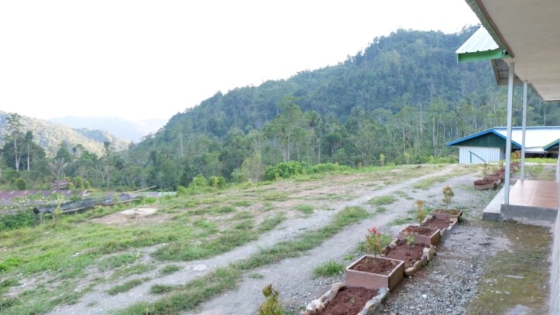 Alasan Perusahaan Tambang Emas Masmindo Belum Berproduksi