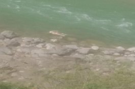 Ngeri, Puluhan Mayat Mengambang Diduga Korban Covid-19 Kembali Ditemukan di Sungai India