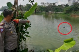 Begini Cara Pilot Selamatkan Diri dari Helikopter yang Jatuh di Danau Buperta