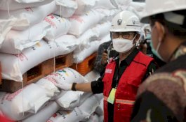 Tinjau Pabrik Pusri, Mentan Syahrul Pastikan Kecukupan Pupuk Nasional