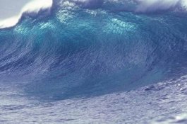 BMKG Ingatkan Potensi Tsunami 29 Meter, Warga Diminta Buat Jalur Evakuasi ke Dataran Tinggi