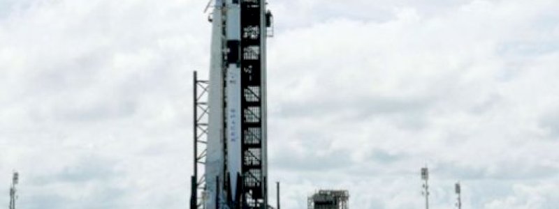 SpaceX & NASA Luncurkan 128 Bayi Cumi-cumi ke Luar Angkasa