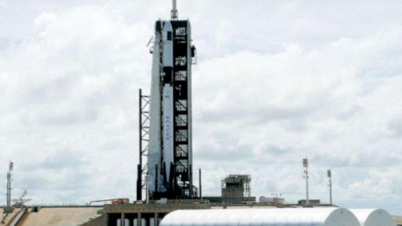 SpaceX & NASA Luncurkan 128 Bayi Cumi-cumi ke Luar Angkasa