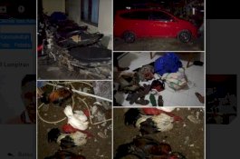 Oknum ASN Sinjai Ditangkap Bersama Rekan Perempuan di Lokasi Judi Sabung Ayam