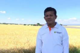 Pemberian Serum Konvalesen sebagai Tindakan Potensial untuk Mengatasi Penyakit African Swine Fever (ASF)