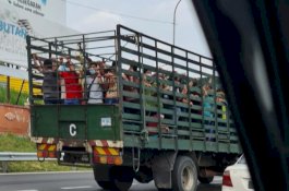 Terkonfirmasi Positif Covid-19, Puluhan Tenaga Kerja di Malaysia Diangkut Menggunakan 