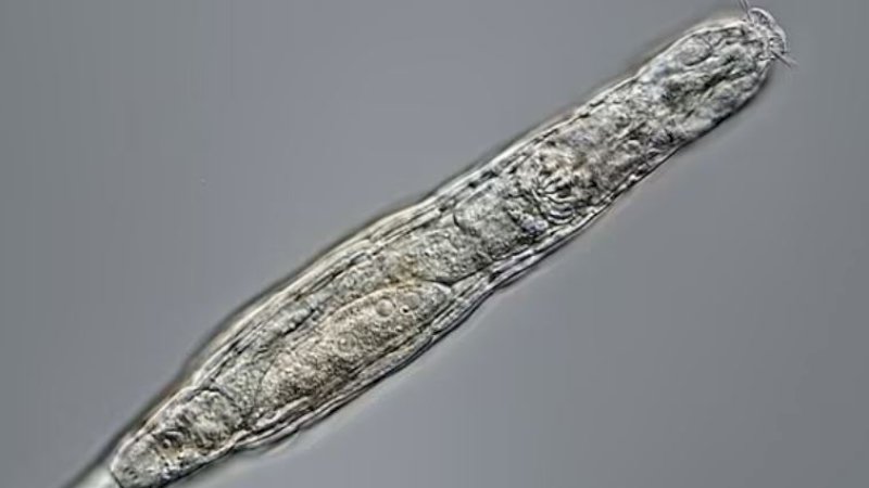 Foto: Michael Plewka.