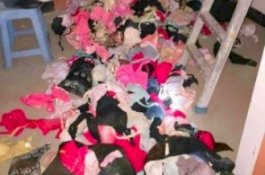 Hanya Bisa Bahasa Mandarin, Begini Kisah Pria yang Didakwa karena Koleksi 58 Potong Pakaian Dalam Wanita