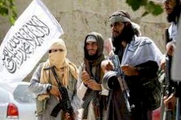 Taliban Akan Terapkan Syariat Islam di Afganistan